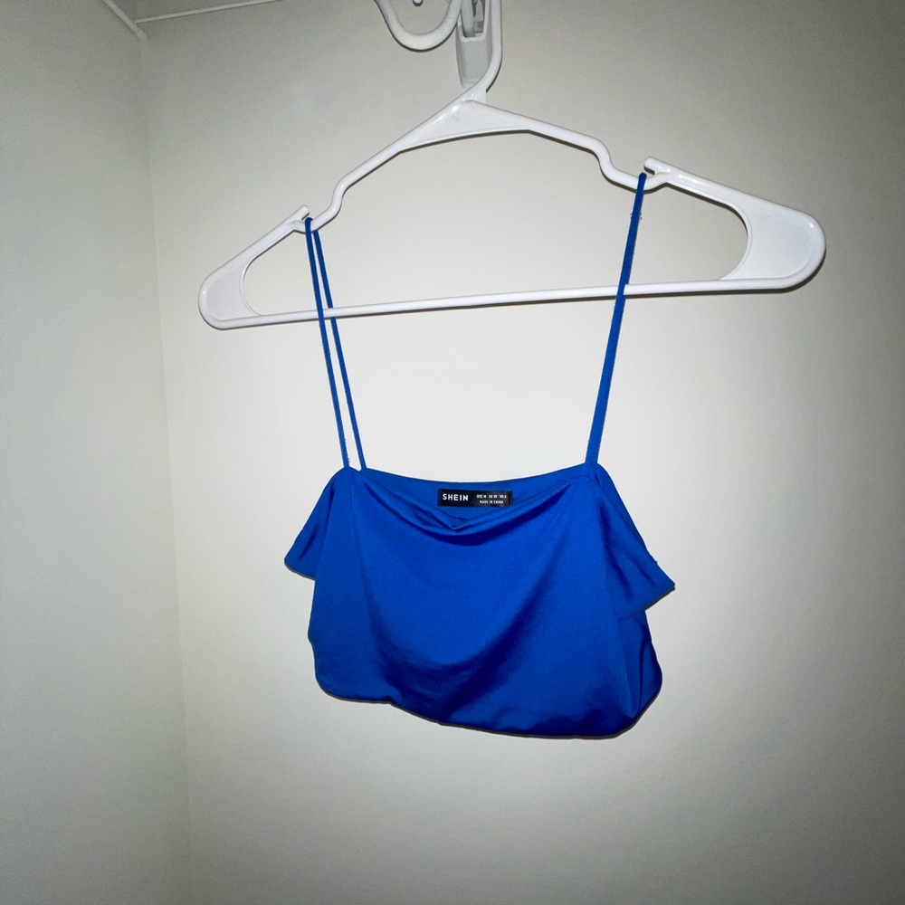 Blue cropped top